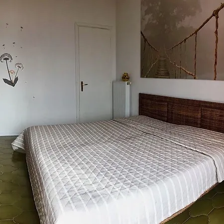 Pandora 1 * Maccagno